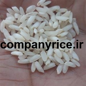 قیمت برنج پاکستانی باران_6