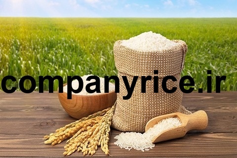 قیمت برنج پاکستانی جهان گل_4