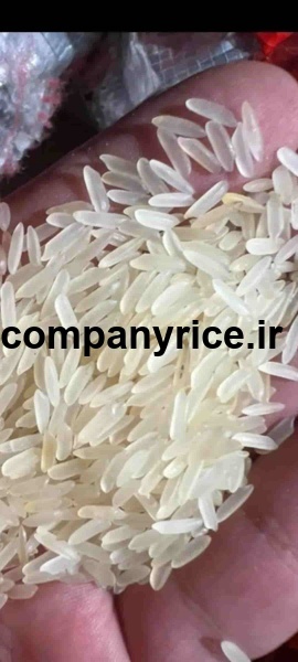 قیمت برنج پاکستانی خشایار_8