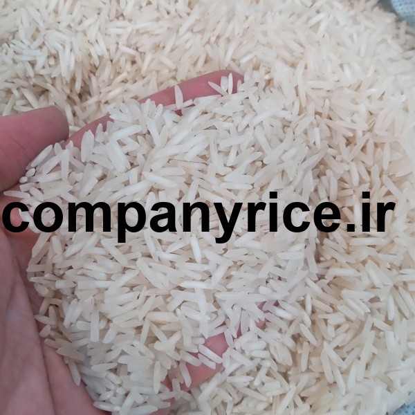 قیمت برنج پاکستانی صادقان_3