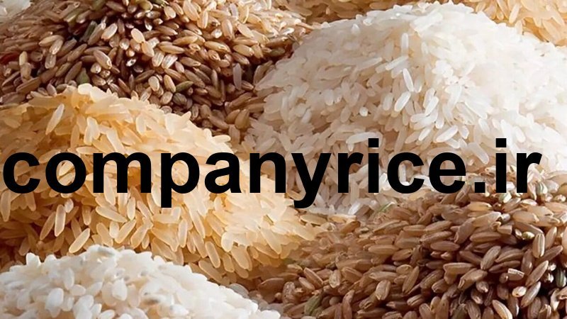 قیمت برنج پاکستانی طبیعت دانه بلند_6