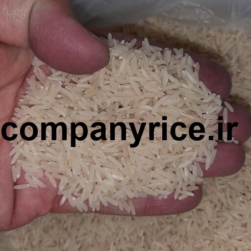 قیمت برنج پاکستانی هزار دستان_10